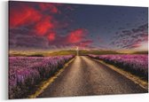 Schilderij - Purple road — 100x70 cm