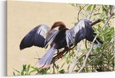 Schilderij - Tropische vogel — 90x60 cm