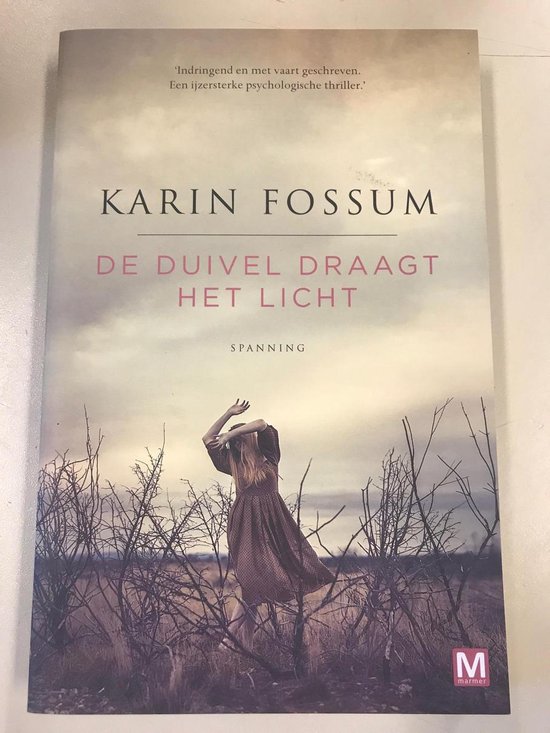 De duivel draagt het licht - cover