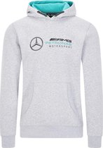Mercedes Amg Petronas Logo Hooded Sweat
