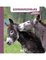 Dierenvriendjes 0 - Dieren op de boerderij