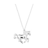 Fashion Favorite Paard Ketting | Zilverkleurig | 45 + 5 cm