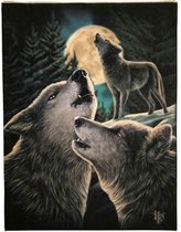 Canvas 50x70cm  - Wolf Song - Lisa Parker