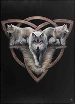 Canvas 50x70cm  - Wolf Trio - Anne Stokes