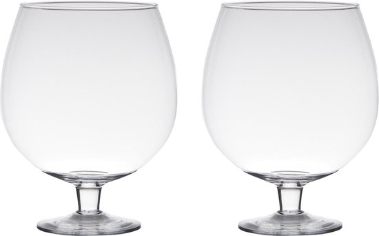 2x stuks transparante luxe stijlvolle Brandy vaas/vazen van glas 24 cm - Bloemen/Terrarium vaas voor binnen gebruik