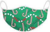 Mondkapje print - Mondkapje wasbaar - Mondkapje katoen - Mondkapje kerst - Kerstmis - Decoratie  - Groen - 1 stuk