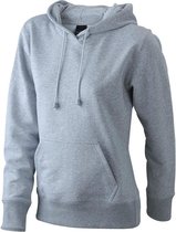 James and Nicholson Dames/dames Hooded Sweatshirt (Grijze Heide)