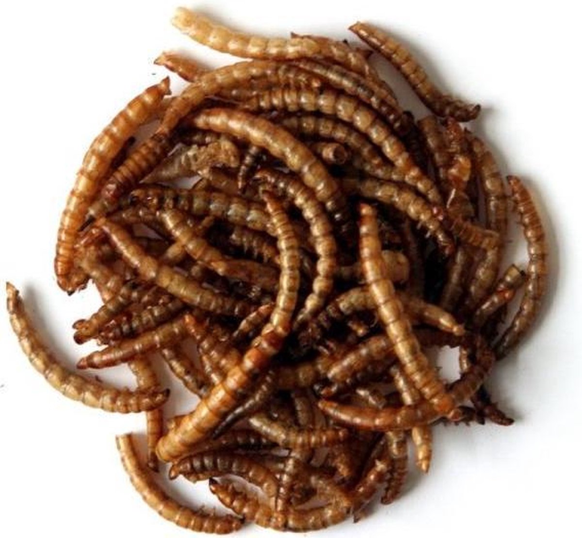 Gedroogde meelwormen - 5,5 liter - set van 2 stuks - Merkloos