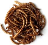 Gedroogde meelwormen - 5,5 liter - set van 2 stuks
