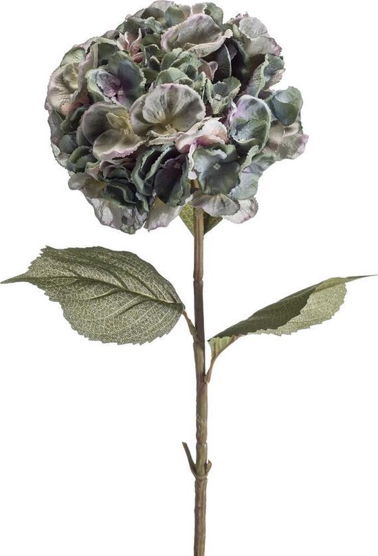 bezoeker eerste premie Kunst hortensia / hydrangea blauw/grijs 85 cm | bol.com
