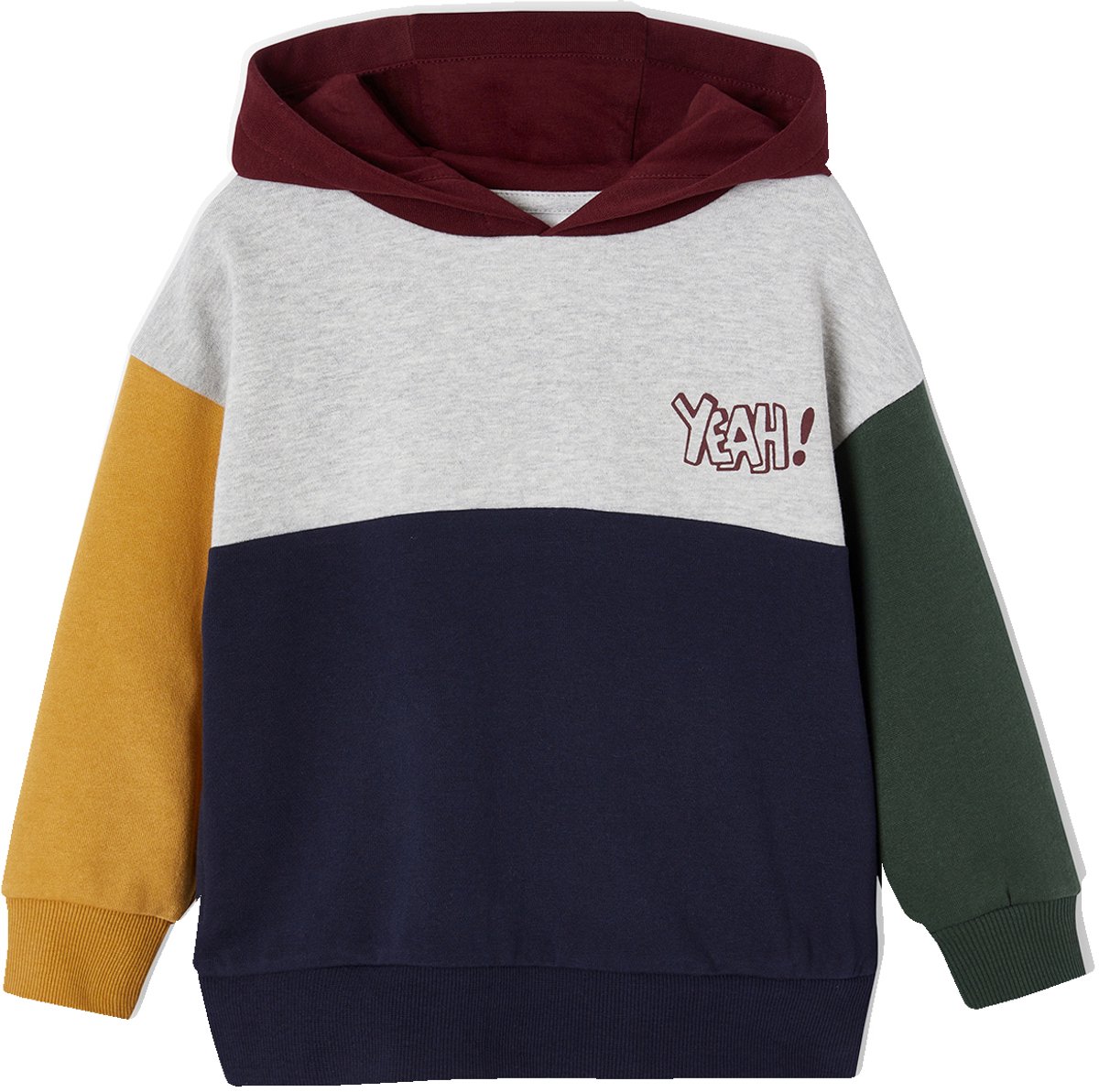 Vertbaudet Sweater met colorblock en capuchon Basics jongens