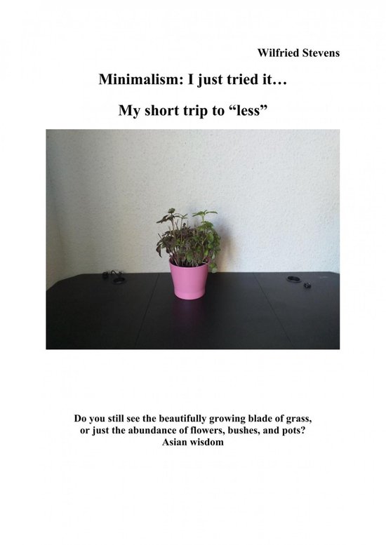 Minimalism: I just tried it… - cover