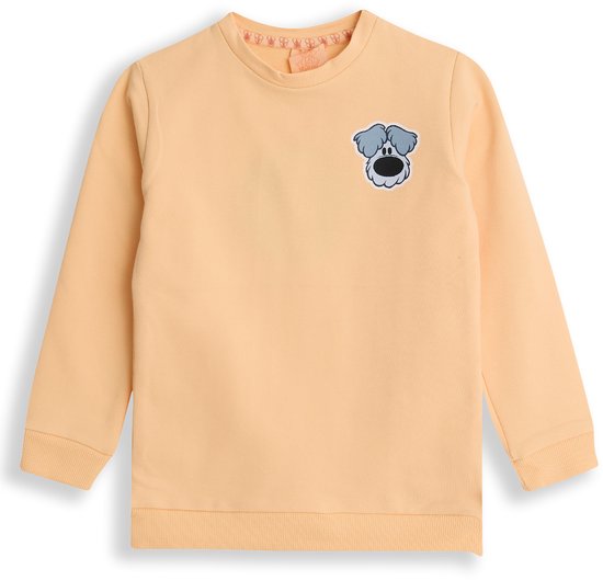 Pull Woezel & Pip pour garçon - Pêche - Taille 110/116 - Pull Garçons