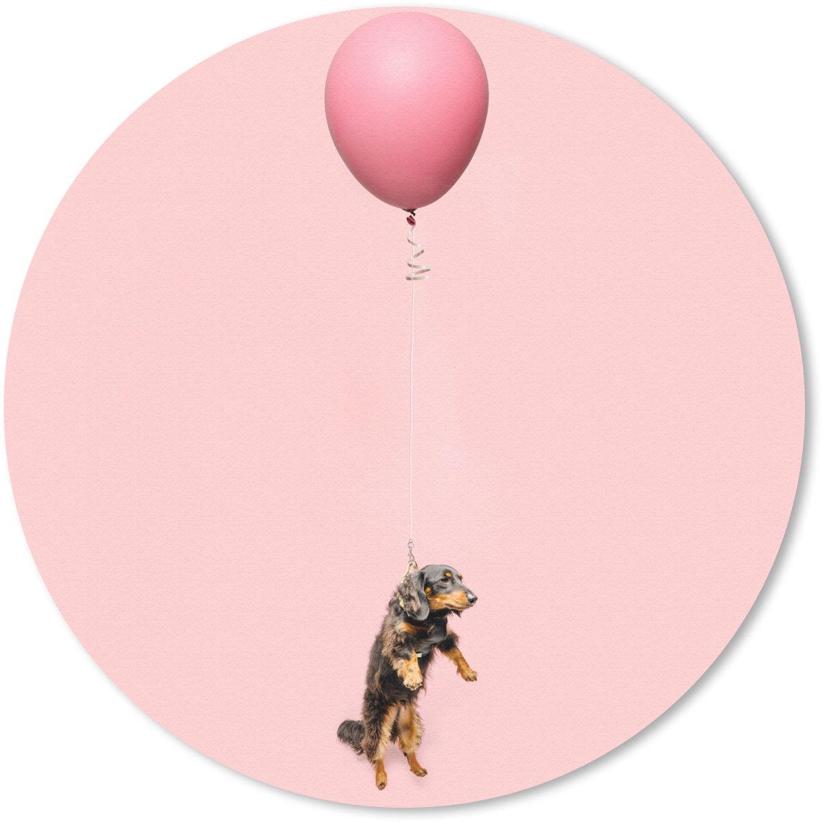 Muismat rond 30x30 cm - Mousepad Teckel zweeft omhoog door een ballon - Ronde muismatten