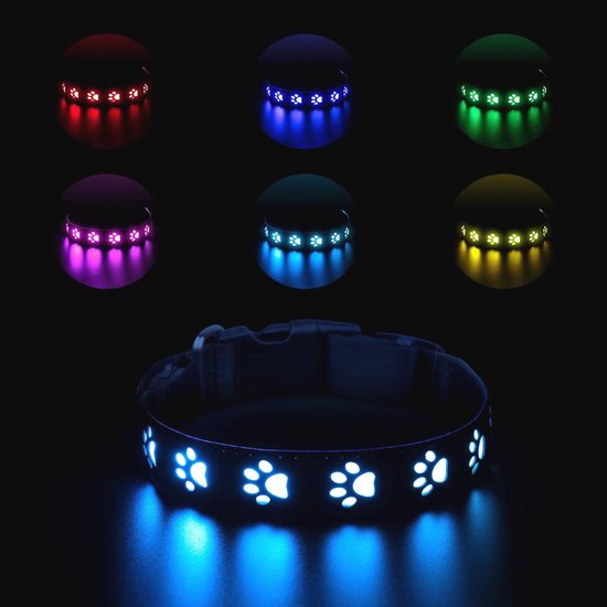 Collier LED rechargeable Chiens - Sûr, réglable, 7 couleurs changeantes (40 cm)