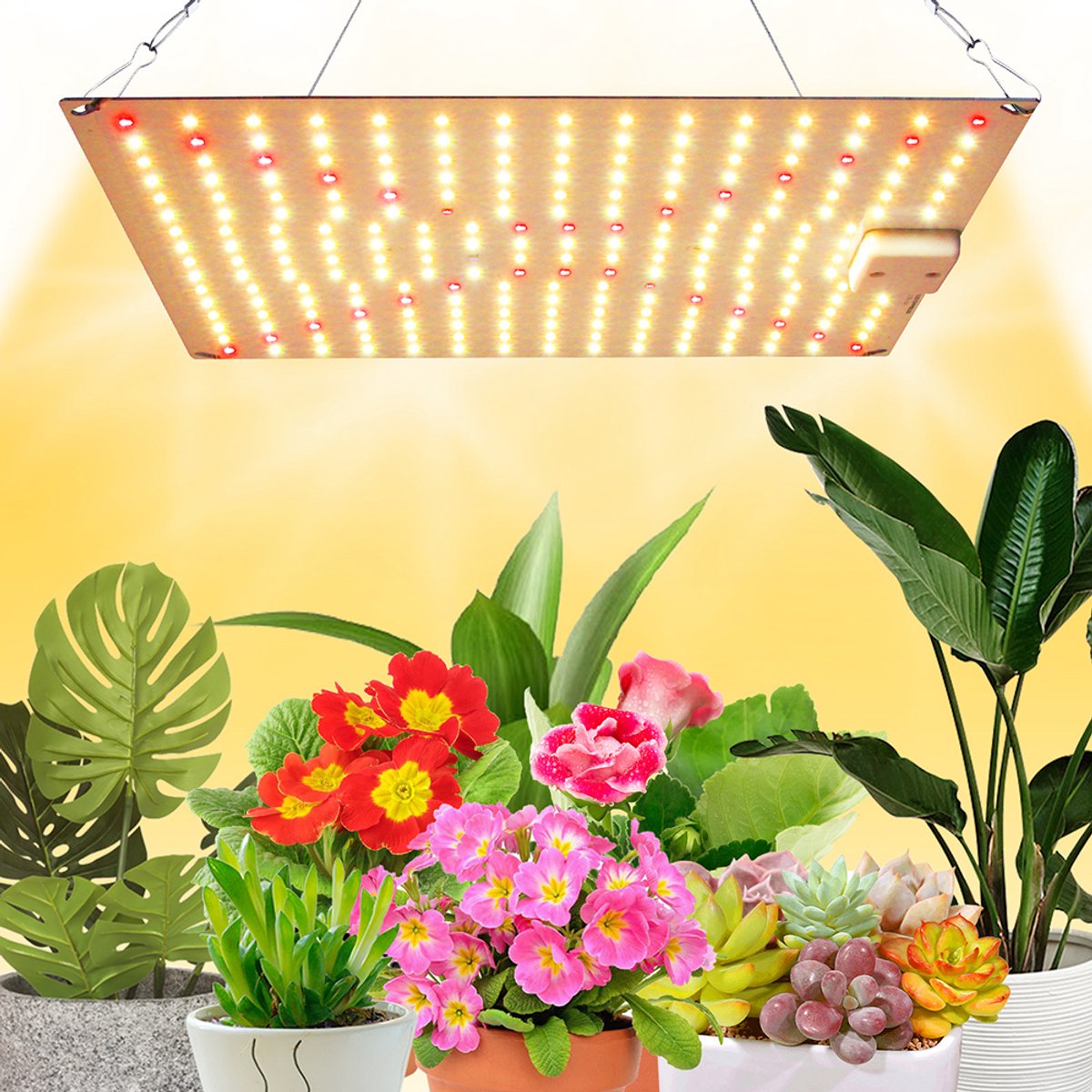 Rosnek LED Plantenlamp - 45W Volledig spectrum LED kweeklamp - 240LEDs Volledig Spectrum Kweeklampen - Ultra Helder Full Spectrum voor Binnenplanten - Hoge Planten én Groentenbloei(L30 * B30cm)