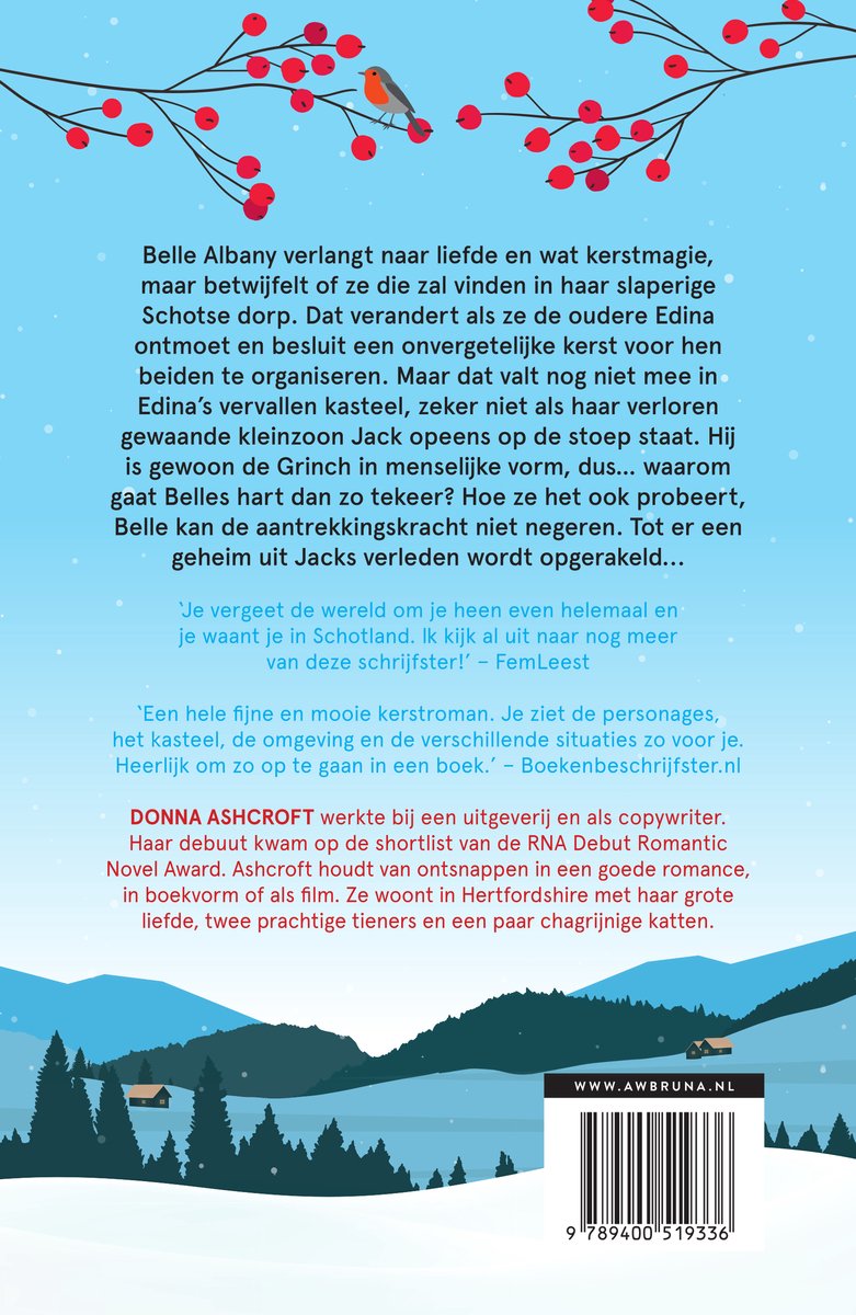 Achterkant van een boek met een kerstverhaal over Belle Albany. Met een illustratie van een dorp in de sneeuw.