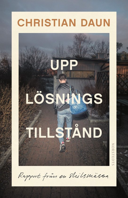 Upplösningstillstånd : rapport från en skilsmässa - cover