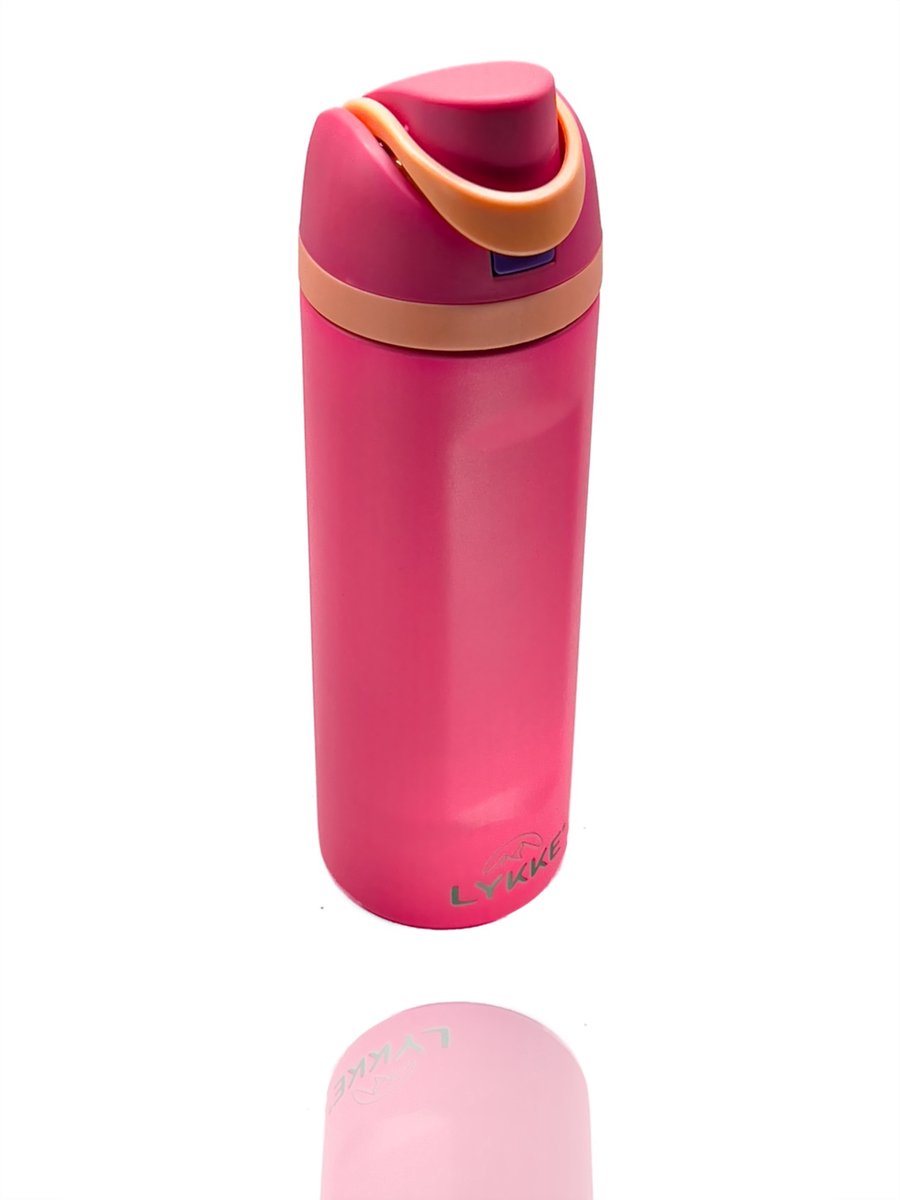 LYKKE® Freesip 3 Laagse Lekvrij Geïsoleerde RVS-fles met rietje voor sport, reizen en school BPA-vrije sportwaterfles, 20 oz, 570 ML, Roze (Flamingo Pink)