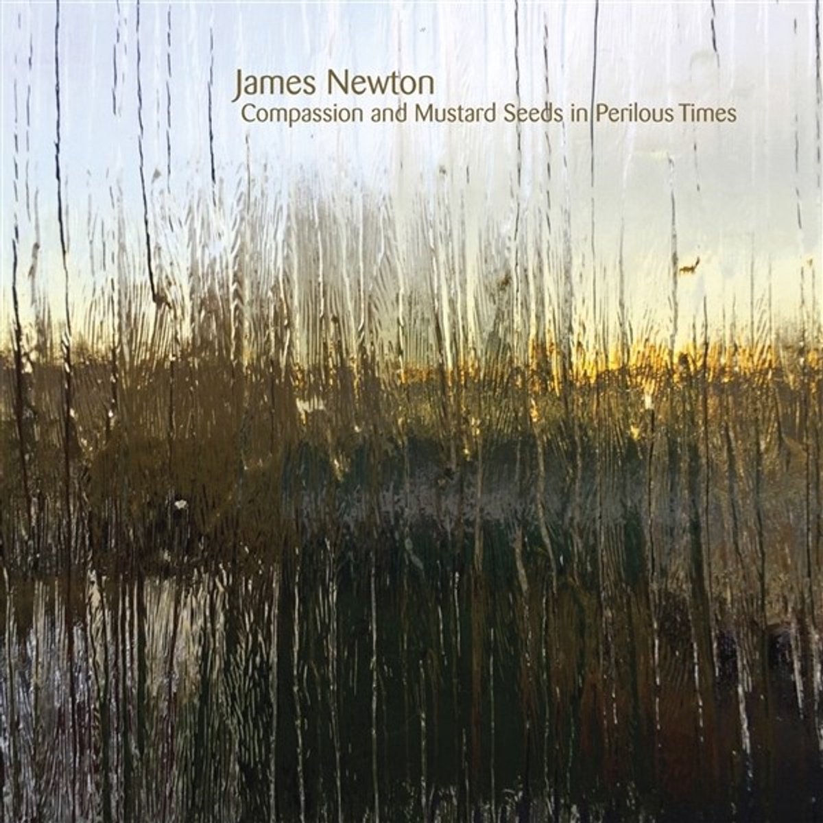 James Newton - Compassion And Mustard Seeds In Perilous Times (CD)