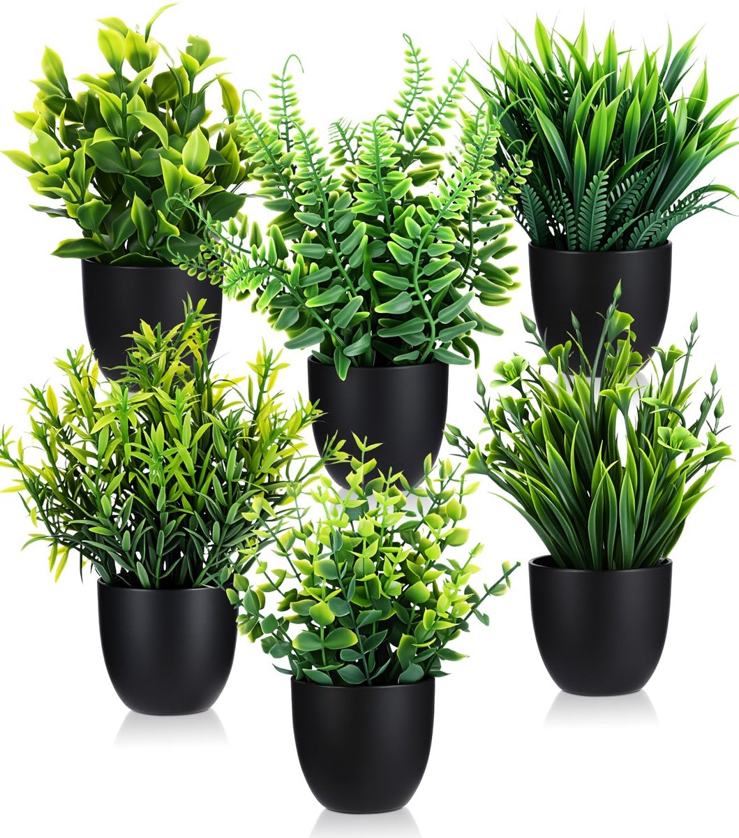 Ibenzoa® Kunstplanten Set van 6 Stuks voor Diverse Binnenruimtes Inclusief Potten in Zwart