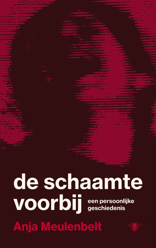 De schaamte voorbij - cover