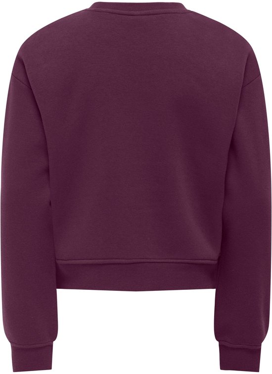Achterkant van een bordeauxrode sweater met lange mouwen.