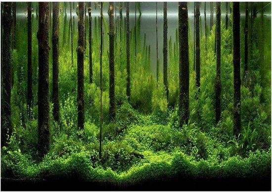 AWERT 121,9 x 61 cm Wasserfall Aquarium Hintergrund Wald Park Grün tropische Pflanzen Aquarium Hintergrund Reptilien Lebensraum Hintergrund Vinyl Hintergrund
