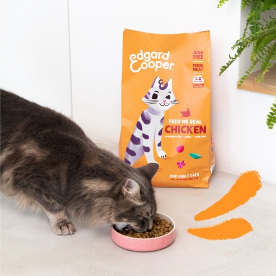 Een grijze kat eet uit een roze bakje kattenvoer naast een zak Edgard & Cooper 'Chicken' kattenvoer.