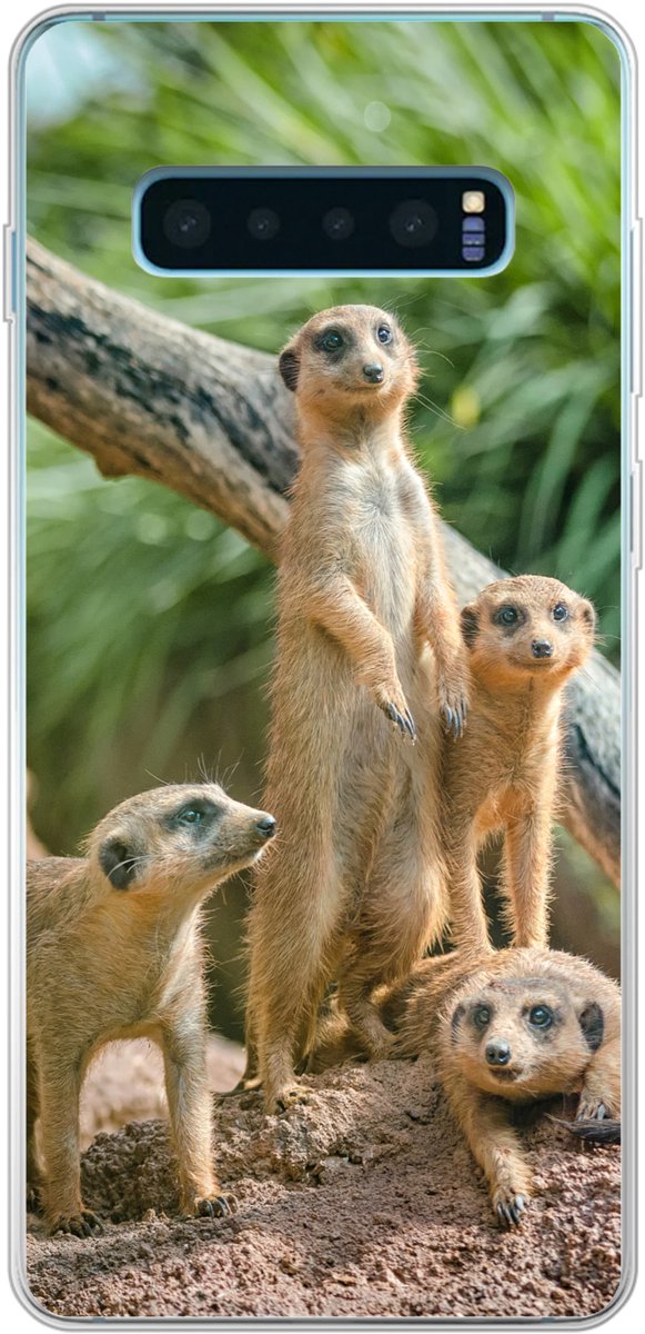 Telefoonhoesje Geschikt voor Samsung Galaxy S10 Plus hoesje - Familie - Dieren - Stokstaartjes - Siliconen Telefoonhoesje Telefoonhoesje