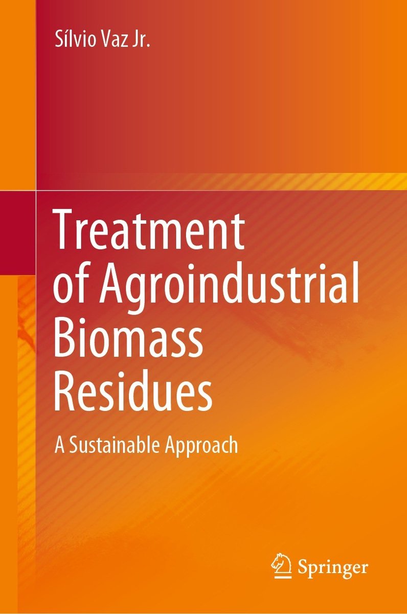 Treatment Of Agroindustrial Biomass Residues van Silvio Vaz Jr.
