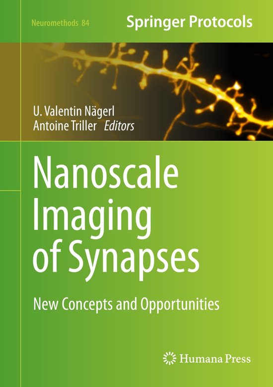 Nanoscale Imaging of Synapses - cover