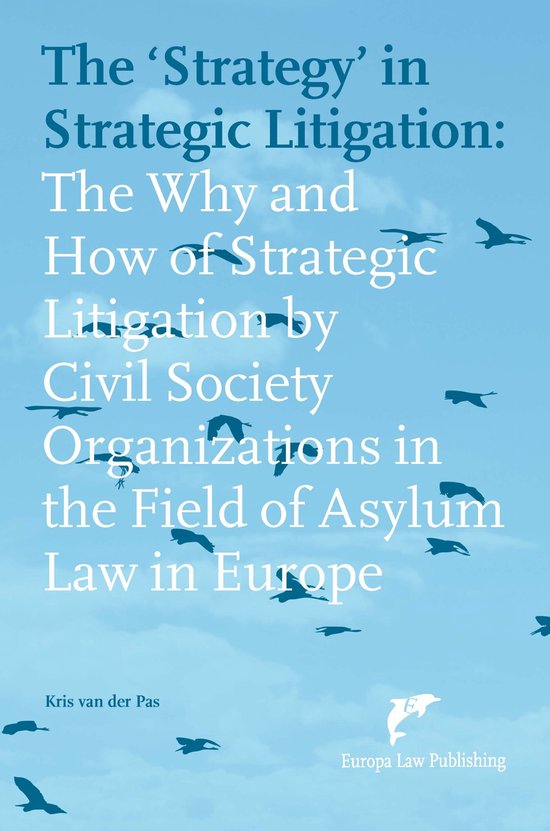 The ‘Strategy’ in Strategic Litigation - cover
