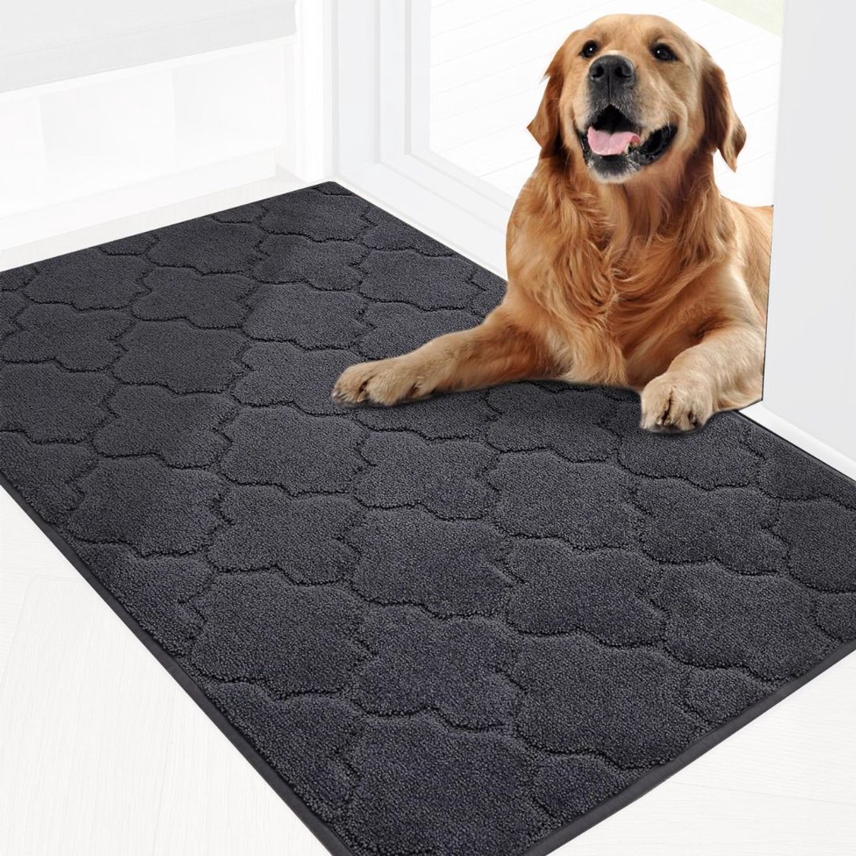 Schoonloopmat - Droogloopmat Binnen - Antislip