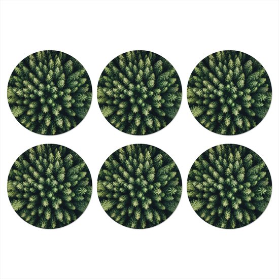 Sous-verres de verre - Rond - Arbres - Forêt de conifères - Structure - 10x10 cm - Dessous de verre - 6 pièces