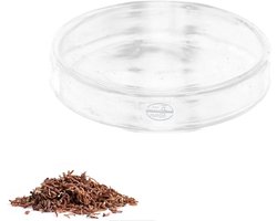 Aquarium Garnalen Voeren Schotel - Visvoer Kom Glas - Fish Tank Feeder - Transparante Voedsel Schotel - Inovra Plus (60mm)