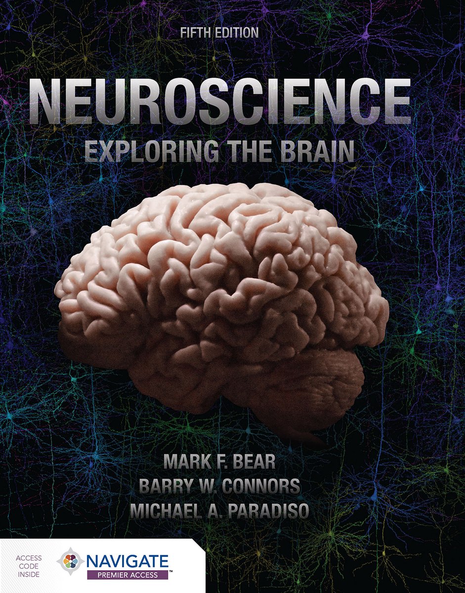 Omslag van Neuroscience: Exploring the Brain