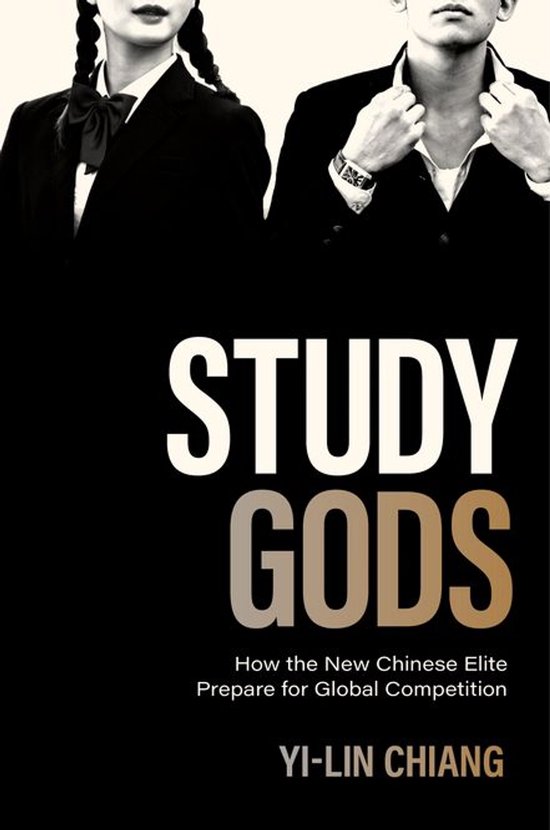 Princeton Studies in Contemporary China - Study Gods - cover