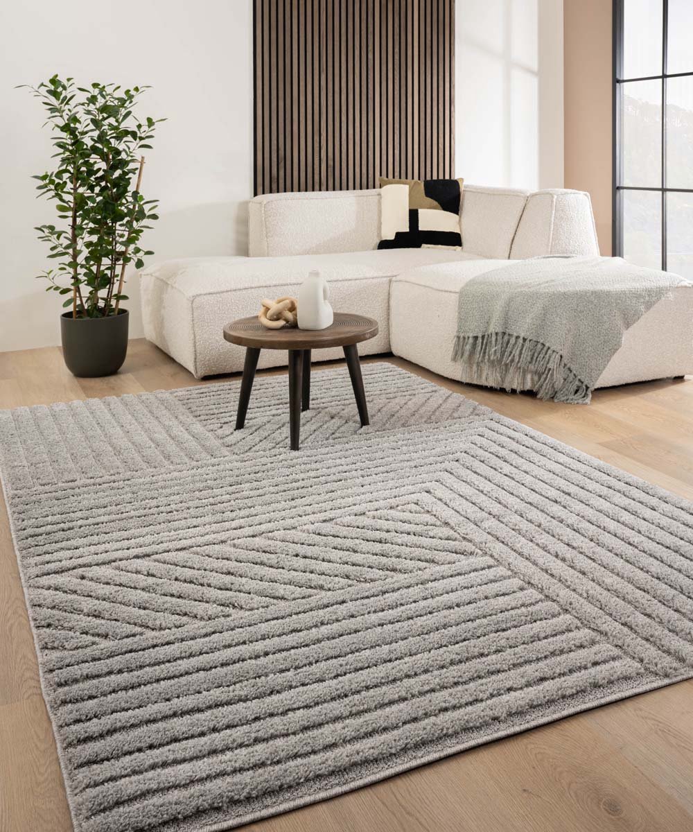 Scandinavisch vloerkleed - Arc Edge lichtgrijs 240x340 cm