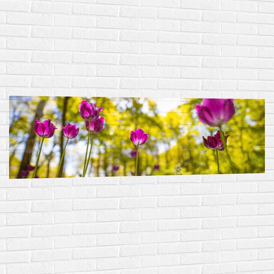 Muursticker - Tulpen bij Elkaar in een Bos - 150x50 cm Foto op Muursticker