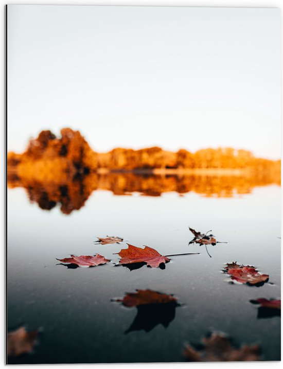 WallClassics - Dibond - Herfstbladeren op het Water omringd door Bomen - 60x80 cm Foto op Aluminium (Met Ophangsysteem)
