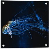 Tuinposter – Lichtgevende Blauwe Kwal in de Zee - 50x50 cm Foto op Tuinposter (wanddecoratie voor buiten en binnen)