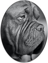 WallClassics - Dibond Ovaal - Kwijlende Hond (Zwart- wit) - 42x56 cm Foto op Ovaal (Met Ophangsysteem)