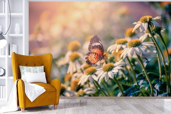 Papier peint Papier peint photo en vinyle - Papillon sur fleur de camomille largeur 450 cm x hauteur 300 cm - Tirage photo sur papier peint (disponible en 7 tailles)