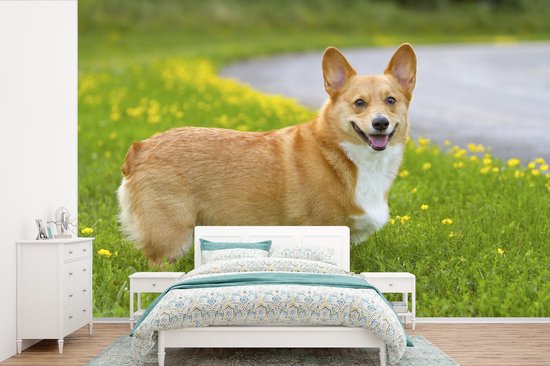 Papier peint photo peint photo vinyle - Corgi entre les fleurs largeur 330 cm x hauteur 220 cm - Tirage photo sur papier peint (disponible en 7 tailles)