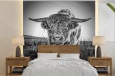 Behang - Fotobehang Schotse hooglander - Gras - Zwart - Wit - Breedte 280 cm x hoogte 280 cm