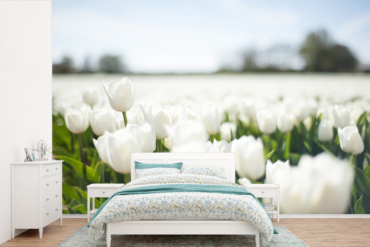 Behang - Fotobehang Tulpenveld met witte tulpen - Breedte 330 cm x hoogte 220 cm - Nr1Wallpaper
