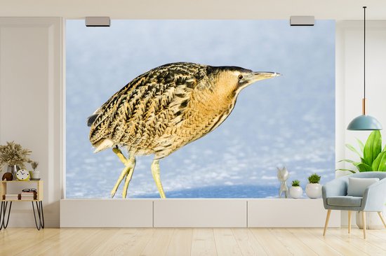 Papier peint photo vinyle - Un butor marche sur la glace largeur 330 cm x hauteur 220 cm - Tirage photo sur papier peint (disponible en 7 tailles)