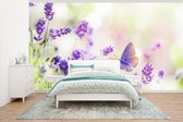 Behang - Fotobehang Lavendel - Vlinder - Bloemen - Natuur - Breedte 465 cm x hoogte 260 cm