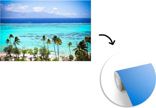 Papier peint photo en vinyle - Palmiers sur la côte de Moorea en Polynésie française largeur 360 cm x hauteur 240 cm - Tirage photo sur papier peint (disponible en 7 tailles)